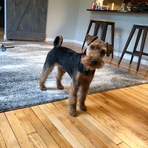 Meet your Posher, Douglas